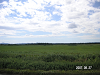 s_PICT0229_thumb.png